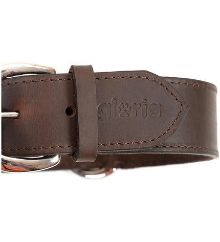 Brown Gloria dog collar with adjustable strap and metal buckle, size 85 x 4 cm, designed for dogs.