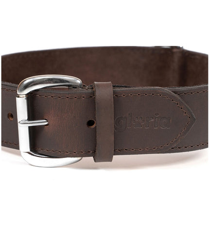 Brown Gloria dog collar for large dogs, 85 x 4 cm, with adjustable strap and sturdy buckle, shown on a dog.