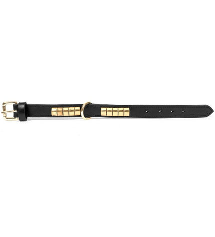 Black and gold Gloria dog collar with 50 cm length and 2.5 cm width, stylish pet accessory for dogs.