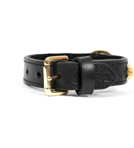 Gloria hondenhalsband in zwart en goud, 55 cm, with stylish design, suitable for medium-sized dogs.