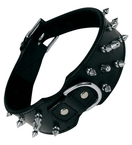 Black Gloria dog collar with spikes, 65 cm, made of durable material, designed for stylish and secure pet wear.