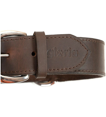 Brown Gloria dog collar measuring 60 cm wide, featuring adjustable strap and sturdy design for canine comfort and style.
