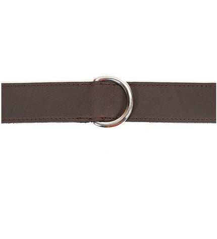 Gloria brown dog collar, 60 cm, 4 cm wide, made of durable material, shown on a dog with a metal buckle and adjustable strap.