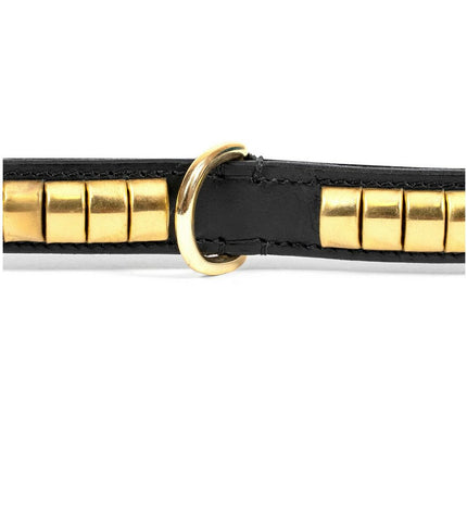 Black and gold Gloria dog collar with 35 cm length and 2 cm width, featuring a stylish design suitable for small to medium dogs.