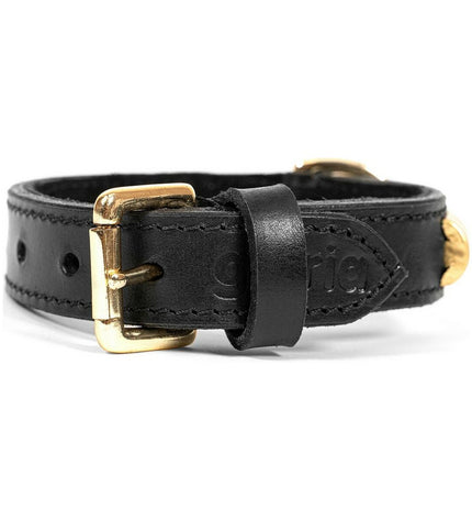 Gloria hondenhalsband in zwart en goud, 40 cm, with elegant design, suitable for small to medium dogs.
