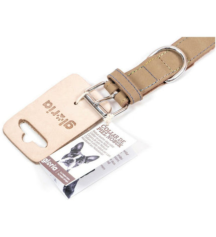 Beige Gloria Oasis dog collar with adjustable strap and metal buckle, designed for comfort and style for small to medium dogs.