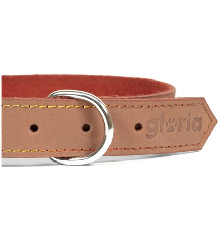 Gloria Oasis brown dog collar, 1.2 x 35 cm, made of durable material, with adjustable strap and metal buckle.