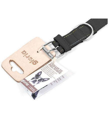 Black Gloria Oasis dog collar with a sleek design, adjustable size, and durable material for comfortable pet wear.