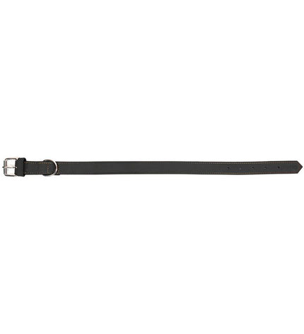 Black Gloria Oasis dog collar with adjustable strap, featuring a sleek design for medium-sized dogs.