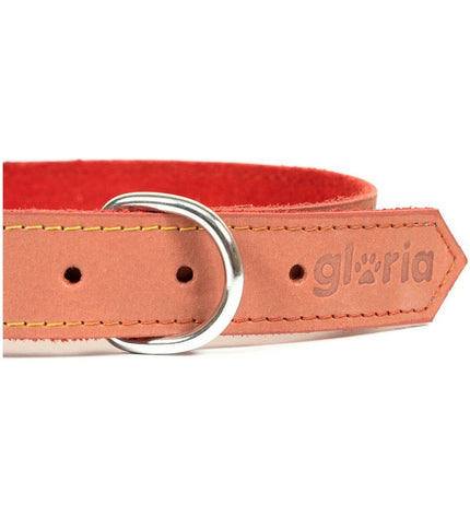 Red Gloria Oasis dog collar with 35cm length and 1.2cm width, featuring a stylish design for small to medium dogs.