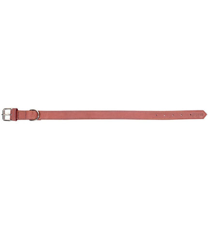 Pink Gloria Oasis dog collar with adjustable strap and metal buckle, suitable for small to medium dogs.