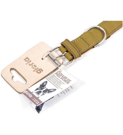 Green Gloria Oasis dog collar, 35 x 1.2 cm, made of durable material, shown on a dog with a metal buckle and adjustable strap.