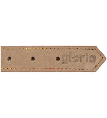 Gloria Oasis white dog collar 1.5 x 40 cm with adjustable strap and silver buckle on a white background.