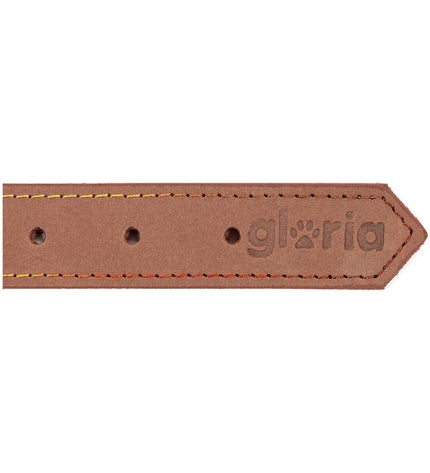 Gloria Oasis brown dog collar with 40cm length and 1.5cm width, made of durable materials, suitable for medium-sized dogs.