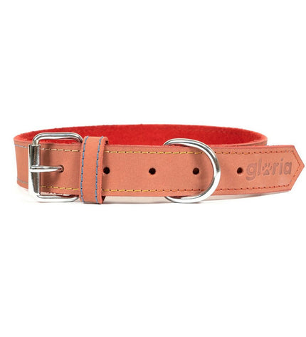 Red Gloria Oasis dog collar with 1.5 x 40 cm width, featuring a stylish and comfortable design for dogs.