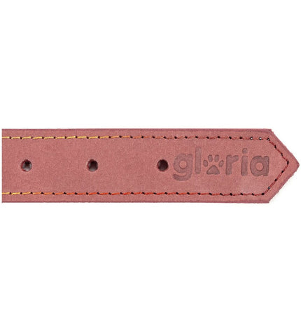 Pink Gloria Oasis dog collar with a floral pattern, adjustable 1.5 x 40 cm, for fashionable and comfortable pet wear.