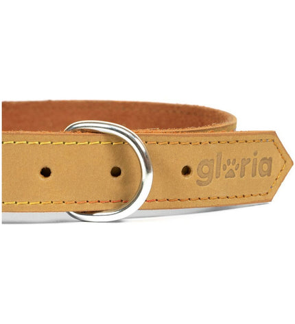 Yellow Gloria Oasis dog collar with adjustable strap, 45 cm long and 1.8 cm wide, on a white background.