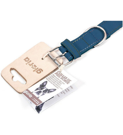Blue Gloria Oasis dog collar with adjustable strap and metal buckle, shown on a white background.