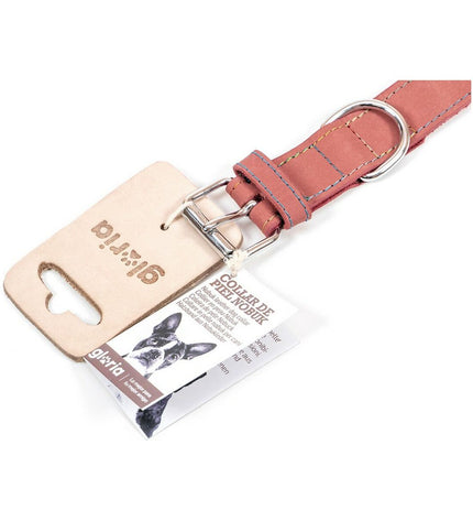 Pink Gloria Oasis dog collar with adjustable 45x1.8 cm design, featuring a soft fabric strap and decorative pattern.