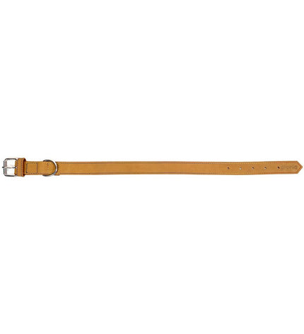 Yellow Gloria Oasis dog collar with adjustable 50 x 2.1 cm size, featuring a stylish design for dogs.