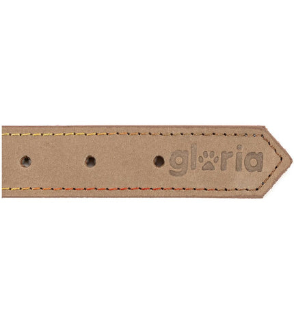 Gloria Oasis white dog collar 50x2.1 cm with floral pattern, comfortable and stylish accessory for medium-sized dogs.