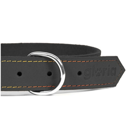 Black Gloria Oasis dog collar with adjustable straps and metal buckle, displayed on a white background.