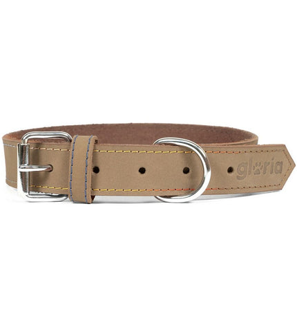 Gloria Oasis white dog collar with 55 cm length and 2.5 cm width, made for pets, shown on a dog.