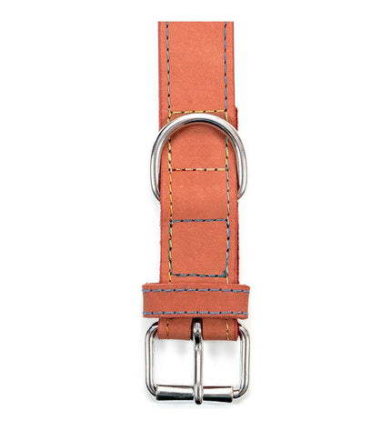 Red Gloria Oasis dog collar with adjustable 55cm length and 2.5cm width, featuring a stylish design for canine pets.