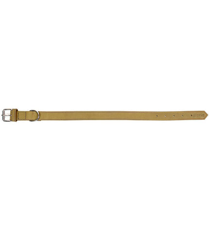 Green Gloria Oasis dog collar with adjustable size, made of durable material, featuring a stylish design for pets.