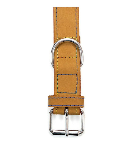 Yellow Gloria Oasis dog collar with buckle and adjustable strap, 60 x 3 cm, for pets.