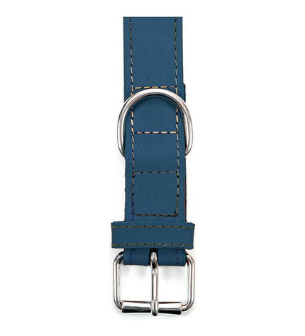 Blue Gloria Oasis dog collar with adjustable strap, 60 x 3 cm, featuring a comfortable and stylish design for furry friends.