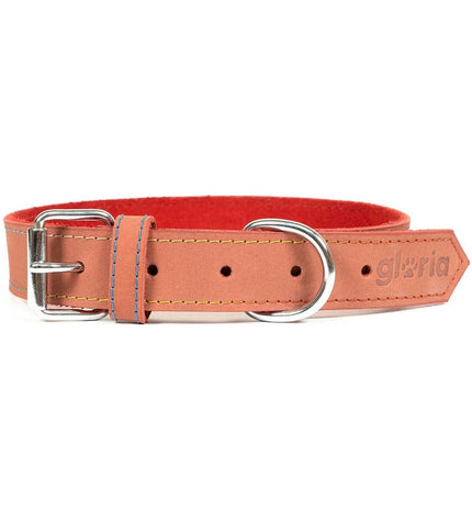 Red Gloria Oasis dog collar with adjustable 60 x 3 cm size, featuring a colorful pattern on durable material.