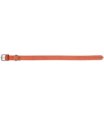Red Gloria Oasis dog collar, 60x3 cm, featuring a stylish design, suitable for small to medium dogs in a natural outdoor setting.