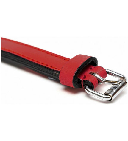Gloria hondenhalsband Gloria Gestoffeerd Rood, 35 cm, padded red dog collar with a 35 x 1.5 cm adjustable strap.