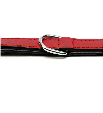Red padded dog collar by Gloria, 35 cm long and 1.5 cm wide, featuring a comfortable, stylish design for pets.
