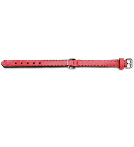 Red padded dog collar by Gloria, 40 cm, with adjustable strap and soft cushioning for comfortable pet wear.