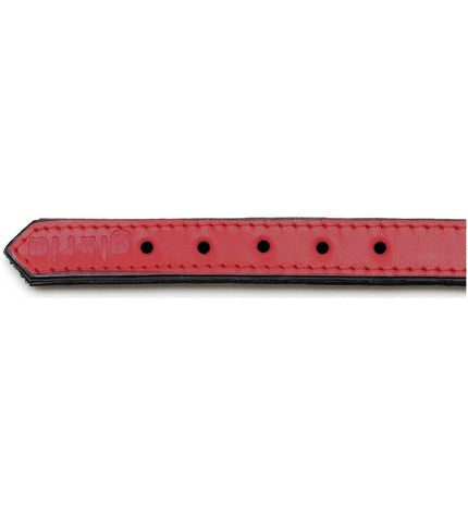 Red padded dog collar by Gloria, 45 cm, with adjustable strap and sturdy buckle, designed for comfortable pet wear.