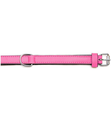 Fuchsia padded dog collar by Gloria, 30 cm, soft and comfortable nylon, with a secure metal buckle for small to medium dogs.