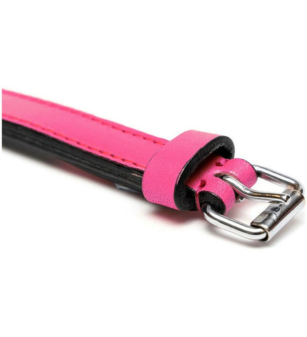 Pink padded dog collar from Gloria, 40 cm, with adjustable strap and soft cushioning, suitable for small to medium dogs.