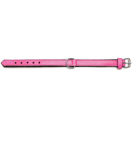 Gloria fuchsia dog collar, padded and adjustable, 45 cm length, shown on a dog with close-up of the vibrant, soft material.