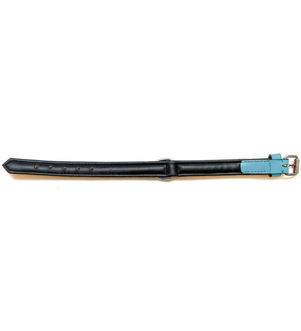Gloria turquoise padded dog collar, 40 cm, with soft cushioning and durable material, suited for comfortable pet wear.