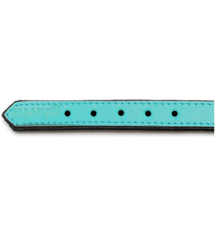Gloria turquoise padded dog collar with 40 cm length, soft fabric, and adjustable strap for a comfortable fit.