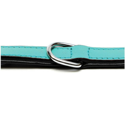 Gloria turquoise padded dog collar, 45 cm, featuring soft cushioning and adjustable strap for a comfortable fit.