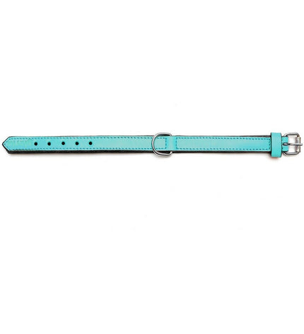 Turquoise Gloria hondenhalsband met gestoffeerde padding, 50 cm lang en 2,5 cm breed, geschikt voor honden.