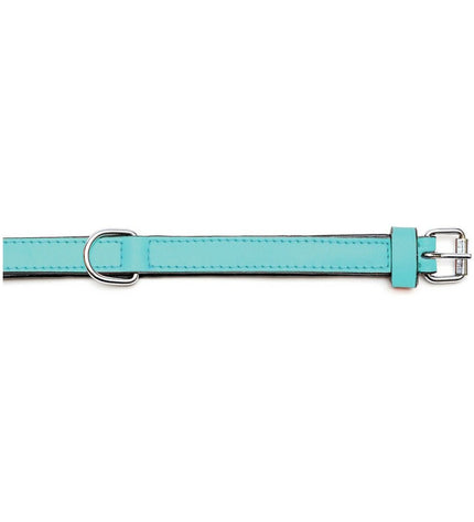 Turquoise Gloria dog collar, padded and 50cm long, with 2.5cm width, designed for comfortable fit and stylish look for dogs.