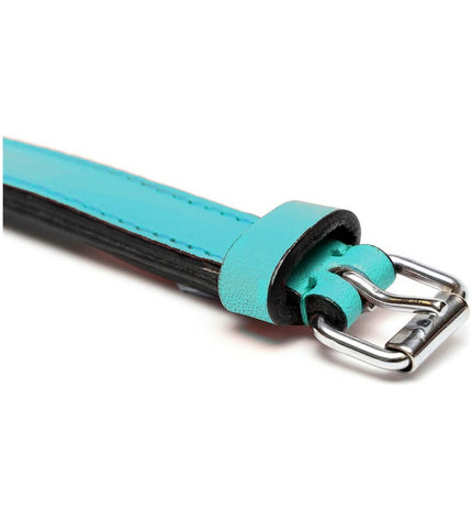 Turquoise padded dog collar by Gloria, 55 cm, featuring soft material and adjustable strap for comfortable pet wear.