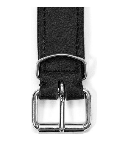 Black Gloria dog collar, 40 cm x 2 cm, made of durable material, shown on a dog with a close-up view of the collar.