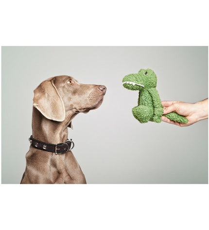 Gloria pink and green dog cuddle toy made of polyester and polypropylene featuring a crocodile design.