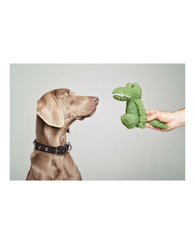 Gloria pink and green dog cuddle toy made of polyester and polypropylene featuring a crocodile design.