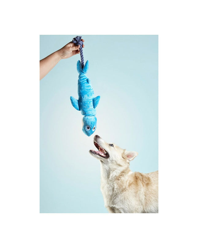 Blue Gloria dog plush toy shaped like a shark, made of polyester and polypropylene, designed for dogs to play with.